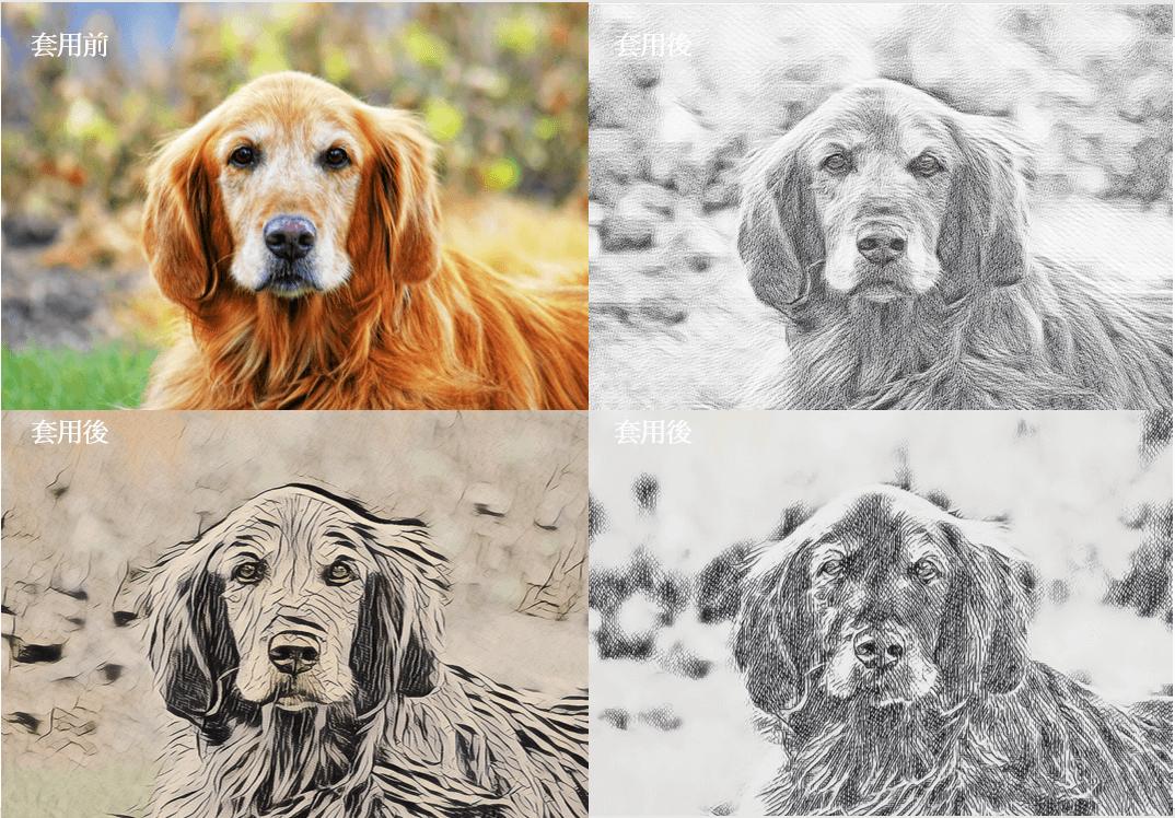 사진 핸드페인팅 동물 스케치 스타일